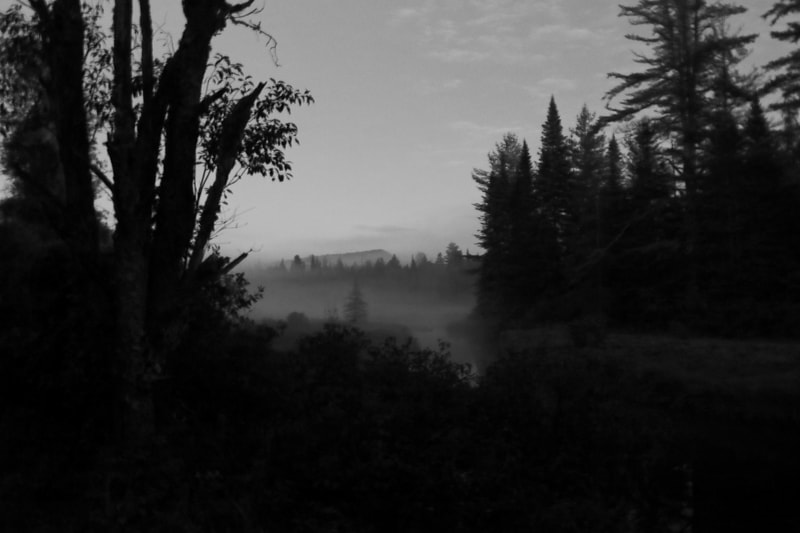 Foggy evening, Moose River Plains