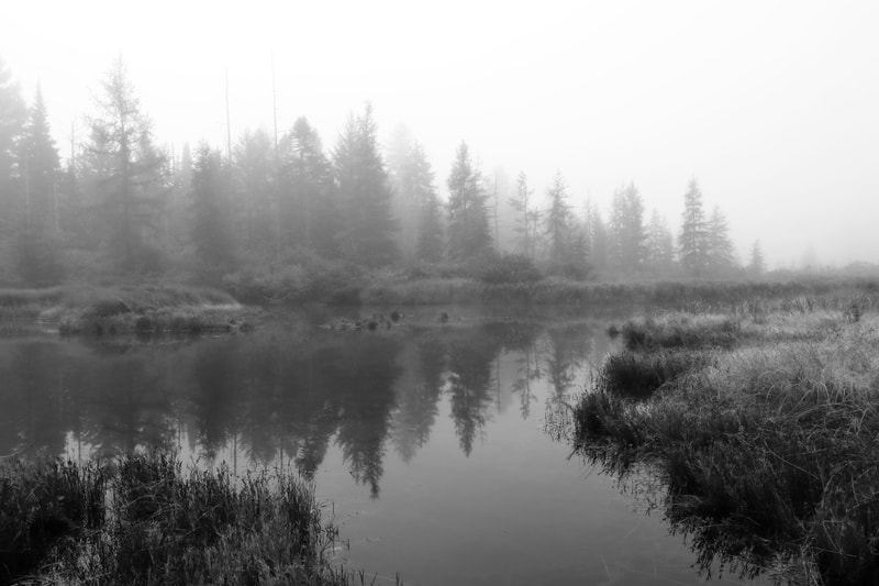 Misty Adirondack Morning